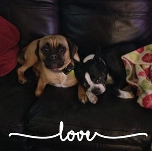 Meet your Posher, Janet